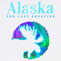 Alaska Moose Aurora Borealis The Last Frontier Funny Gift Garment-Dyed Sweatshirt