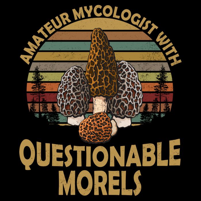 Amateur Mycologist With Questionable Morels Mesh Reversible Basketball Jersey Tank