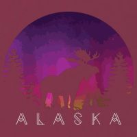 Alaska Moose Borealis Alaskan Landscape 16oz Travel Tumbler