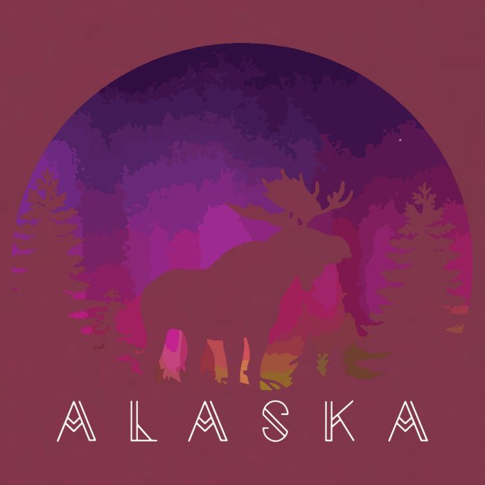 Alaska Moose Borealis Alaskan Landscape 16oz Travel Tumbler
