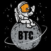 Astronaut Moon Btc Bitcoin Crypto Cryptocurrency Womens T-Shirt
