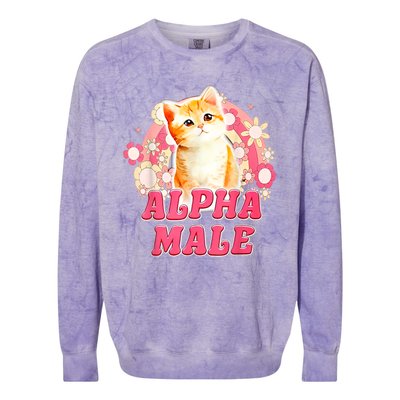 Alpha Male Cat Kitten Funny Colorblast Crewneck Sweatshirt