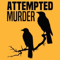 Attempted Murder Crows Raven Bird Meme Pom Pom 12in Knit Beanie