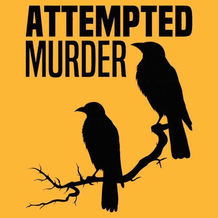 Attempted Murder Crows Raven Bird Meme Pom Pom 12in Knit Beanie