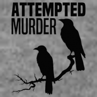 Attempted Murder Crows Raven Bird Meme Tall Hoodie