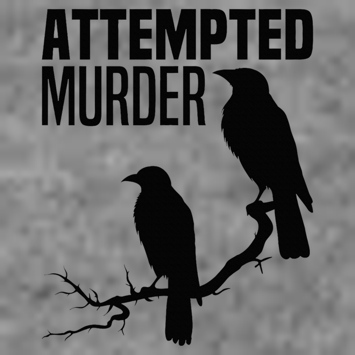 Attempted Murder Crows Raven Bird Meme Tall Hoodie