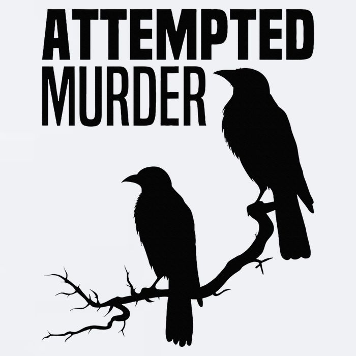 Attempted Murder Crows Raven Bird Meme Sueded Cloud Jersey T-Shirt