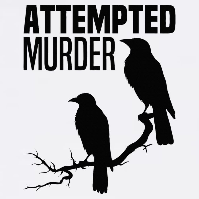 Attempted Murder Crows Raven Bird Meme Garment-Dyed Sweatshirt