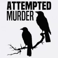 Attempted Murder Crows Raven Bird Meme Bucket Hat