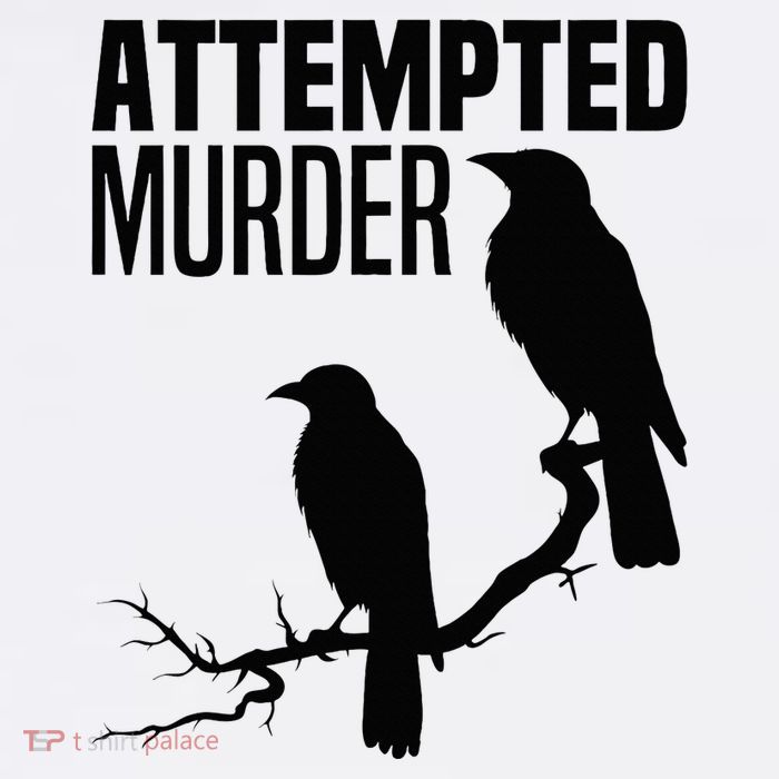 Attempted Murder Crows Raven Bird Meme Bucket Hat