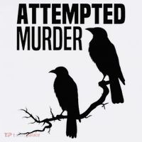 Attempted Murder Crows Raven Bird Meme Mesh Reversible Basketball Jersey Tank