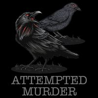Attempted Murder Crows & Raven Funny Crow Birds Bucket Hat