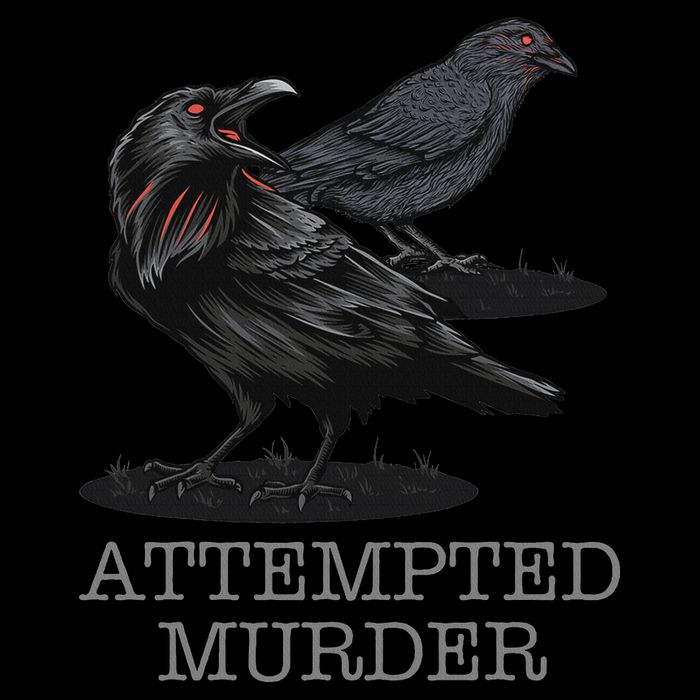 Attempted Murder Crows & Raven Funny Crow Birds Bucket Hat