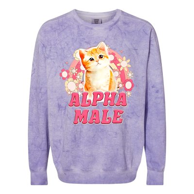 Alpha Male Cat Kitten Funny For Men Women Colorblast Crewneck Sweatshirt