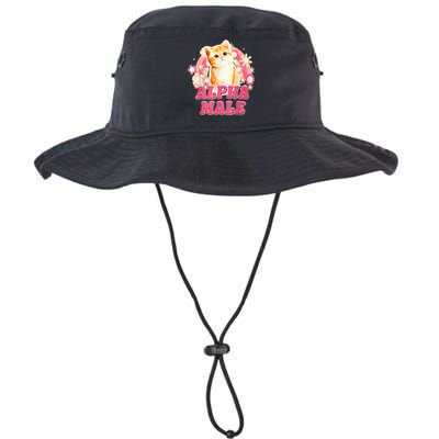 Alpha Male Cat Kitten Funny Bucket Hat
