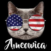 Ameowica America USA Cat Sunglasses Flag Backpack
