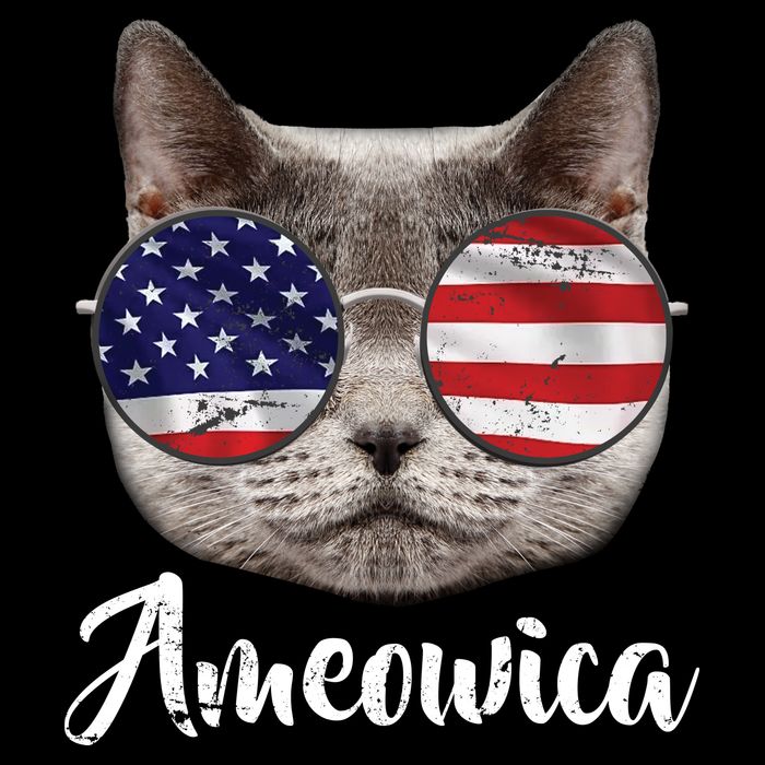 Ameowica America USA Cat Sunglasses Flag Backpack