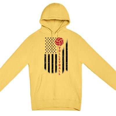 America Volleyball Flag Premium Pullover Hoodie