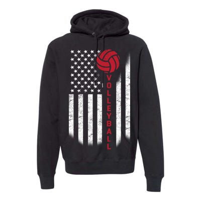 America Volleyball Flag Premium Hoodie