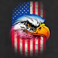 American Bald Eagle Flag 7 Panel Mesh Trucker Snapback Hat
