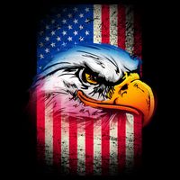 American Bald Eagle Flag Bucket Hat