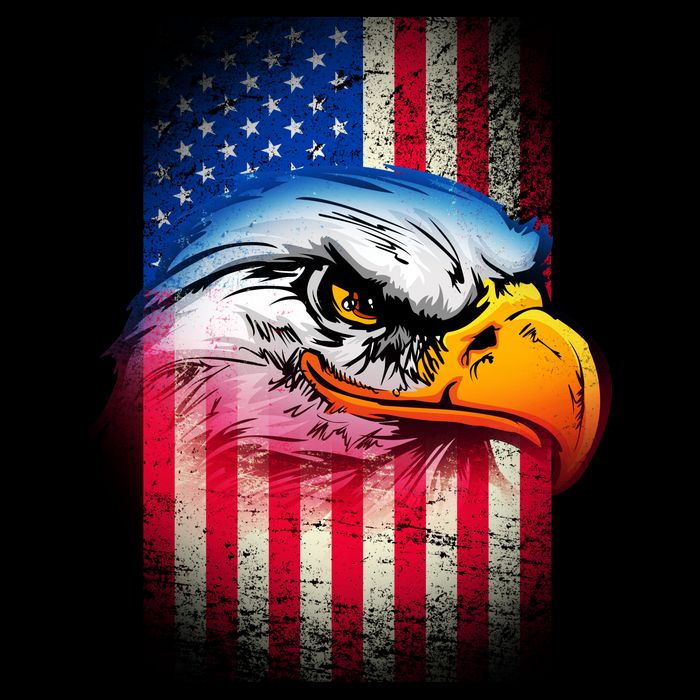 American Bald Eagle Flag Baby Bodysuit