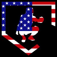 American Baseball Catcher Flag Toddler T-Shirt