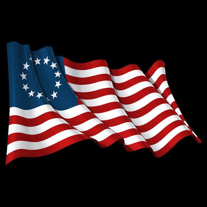 American Betsy Ross Waving Flag 16 in Basic Backpack
