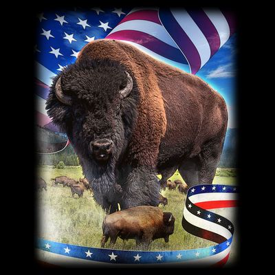 American Bison USA Flag Buffalo T-Shirt
