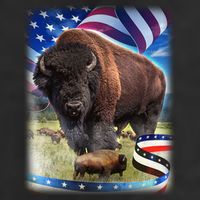 American Bison USA Flag Buffalo 11oz C Handle Ceramic Mug
