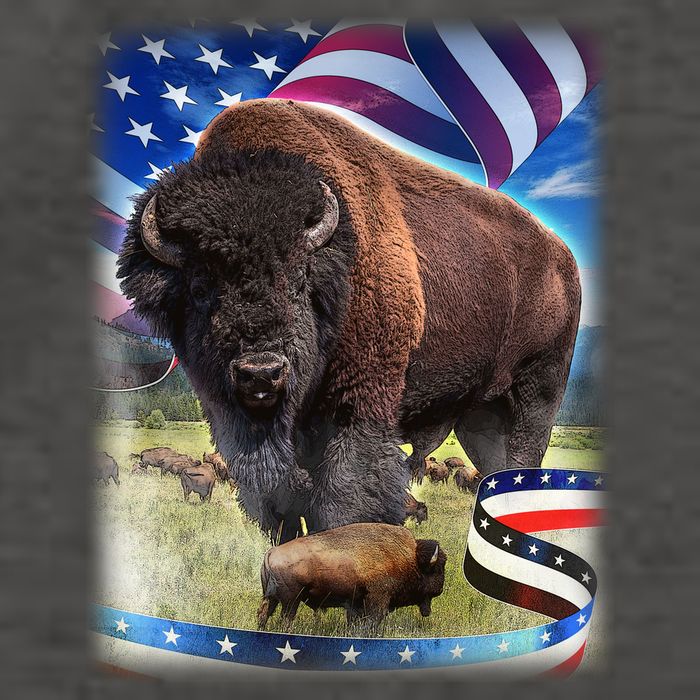 American Bison USA Flag Buffalo Vector Backpack