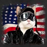 American Cat Air Force Pilot  Adult Drive Performance Visor