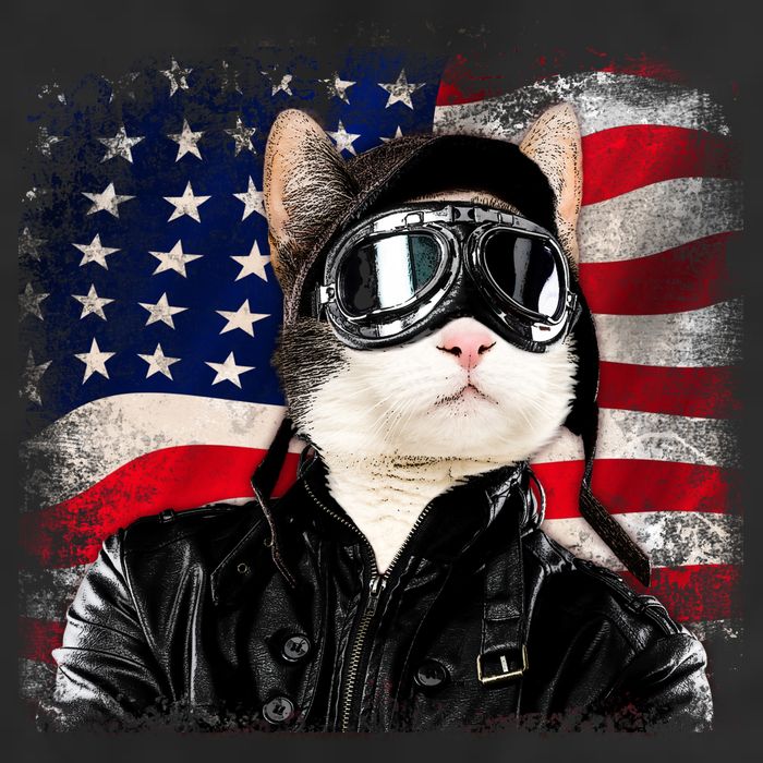 American Cat Air Force Pilot  Hat