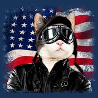 American Cat Air Force Pilot  Short Acrylic Beanie