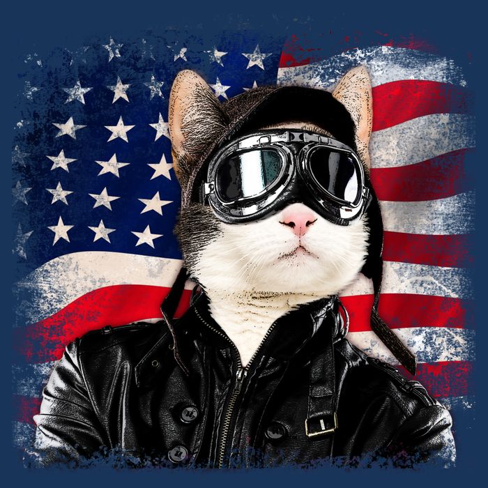 American Cat Air Force Pilot  Short Acrylic Beanie