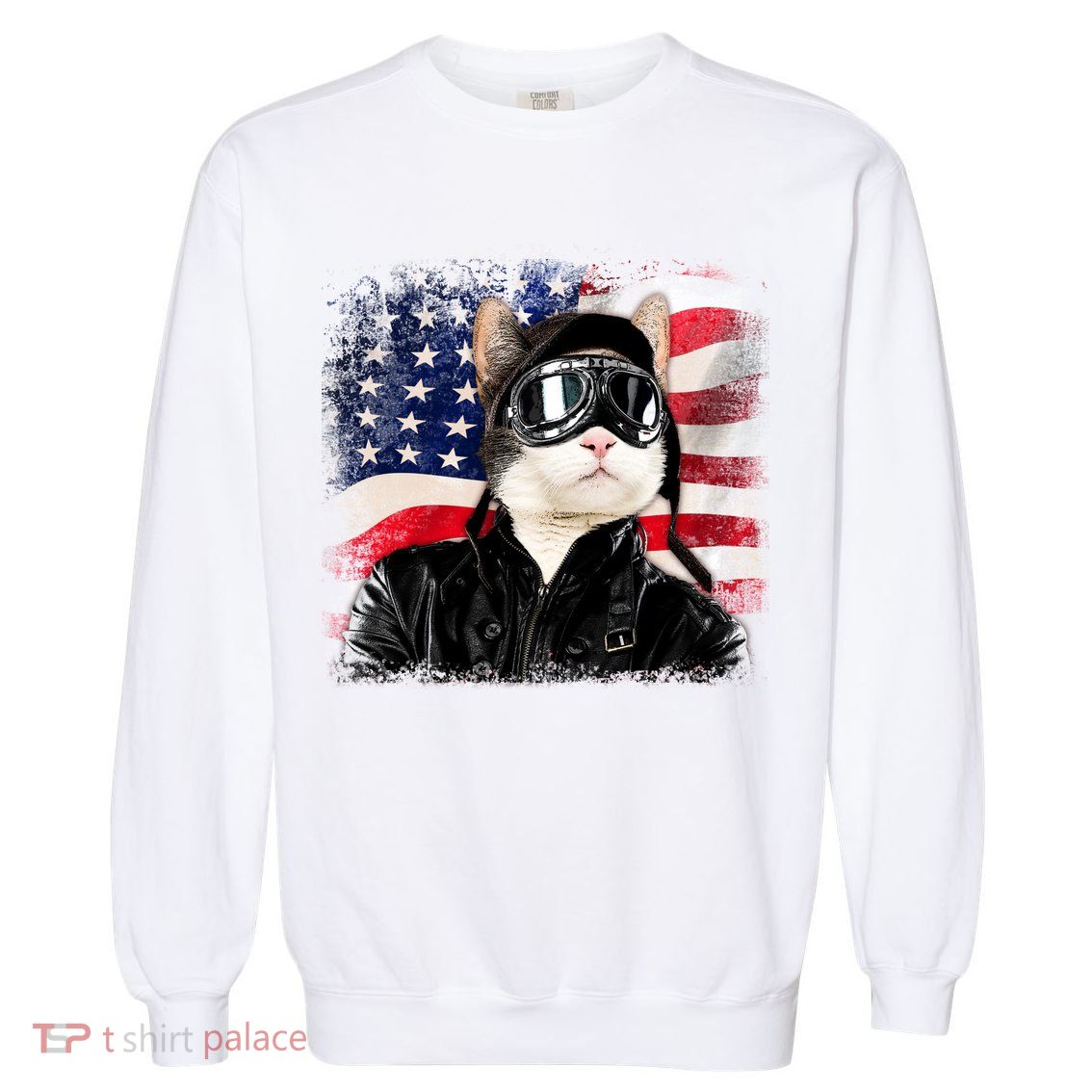 American Cat Air Force Pilot  Garment-Dyed Sweatshirt