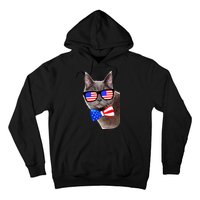 American Cat With USA Glasses And Bow Tie Hoodie