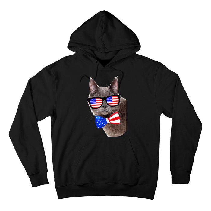 American Cat With USA Glasses And Bow Tie Hoodie