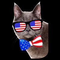 American Cat With USA Glasses And Bow Tie Poster