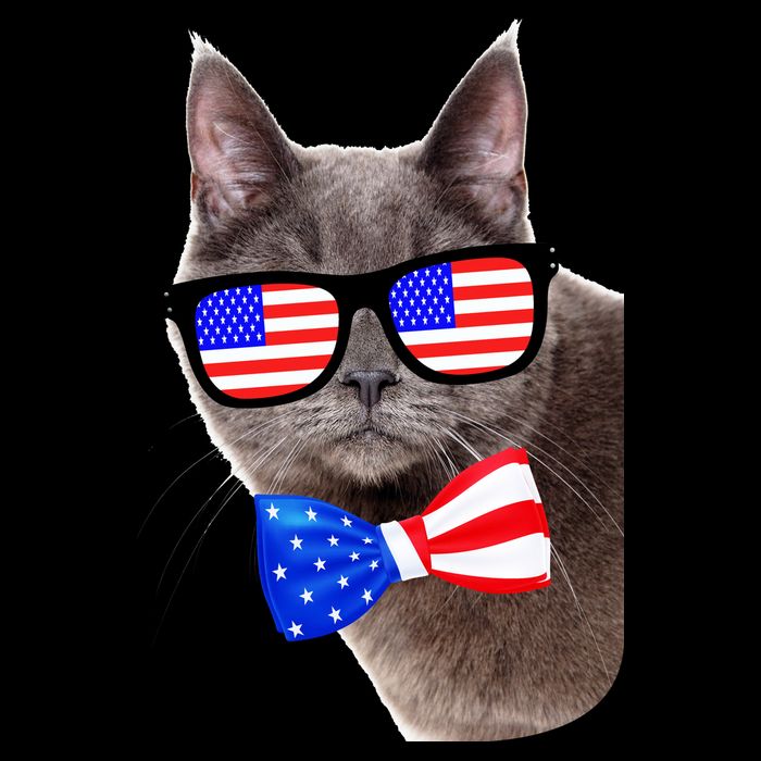 American Cat With USA Glasses And Bow Tie Poster