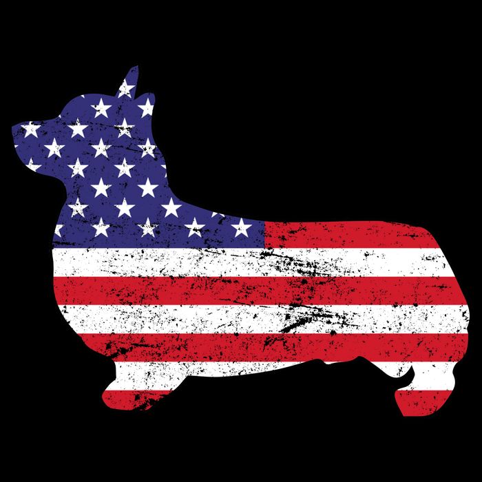American Corgi Drawstring Bag