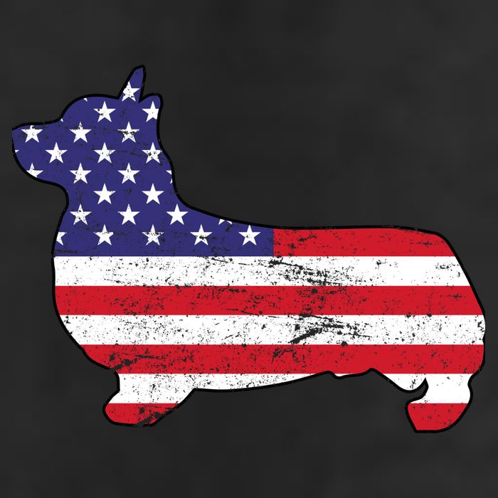 American Corgi Hat