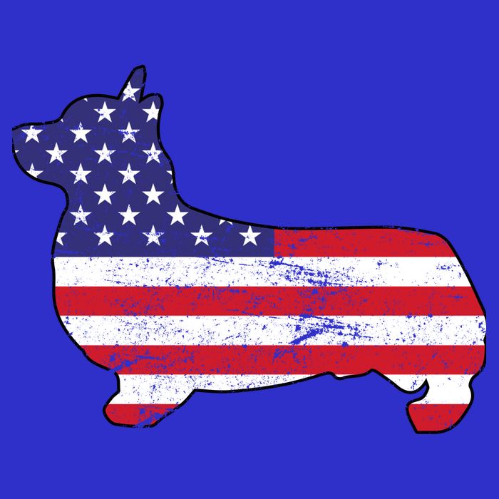 American Corgi Hoodie