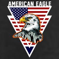 American Eagle USA Pride 11oz C Handle Ceramic Mug