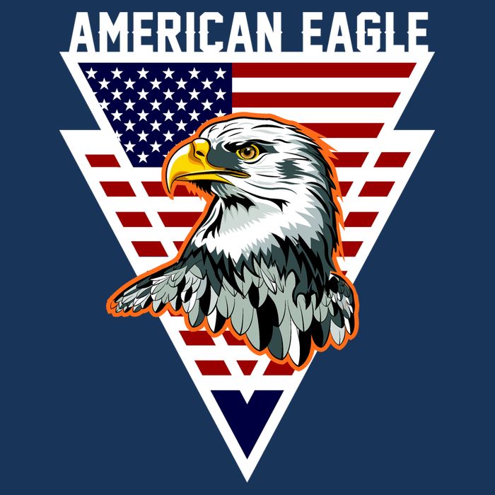 American Eagle USA Pride Poster