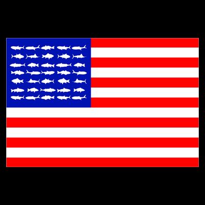 American Fishing Flag T-Shirt