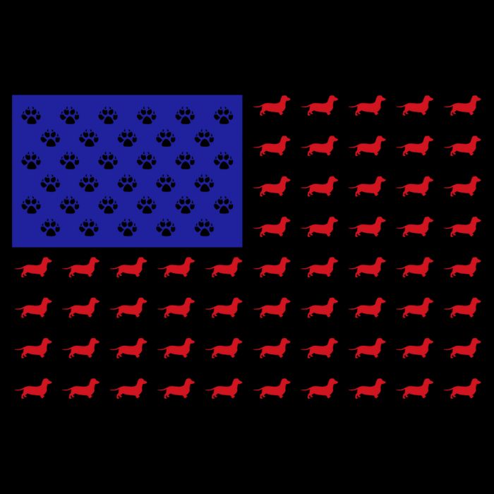 American Flag Dachshund Dog Backpack