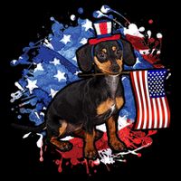 American Flag Dachshund Dog Cool Drawstring Bag