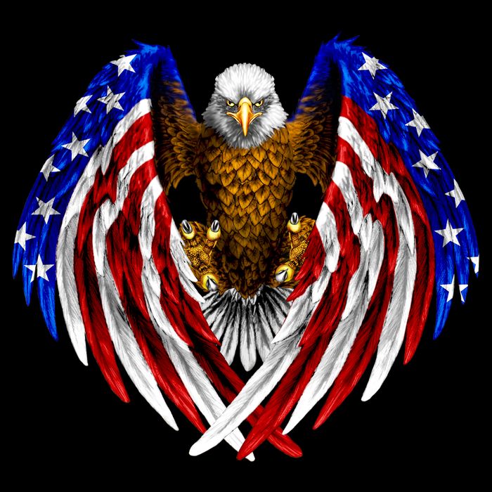 American Flag Eagle City Backpack