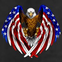 American Flag Eagle Adult Drive Performance Visor